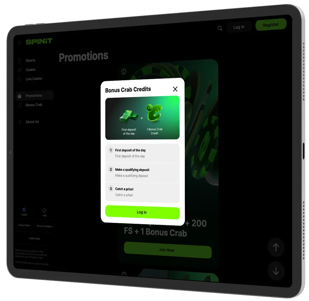 License and Security at Spinit