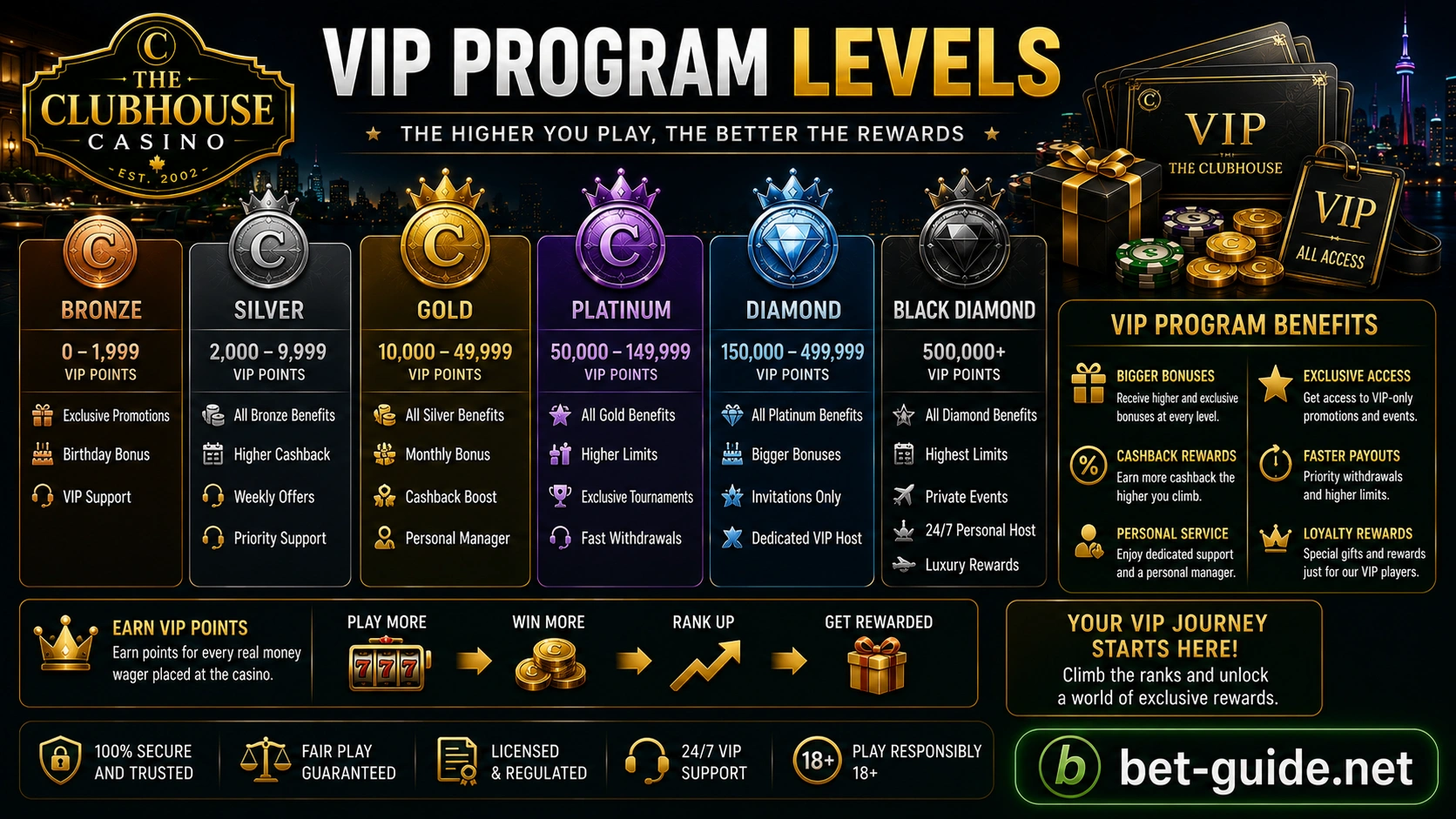 VIP Program Levels